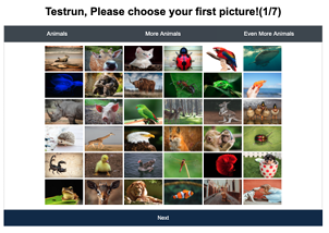 Figure 5.2: Screenshot of KidsPic108|7 authentication mechanism displaying animal pictures with three tabs: Animals, More Animals, Even More Animals, each tab have a 6X6 grid of animal pictures; 108 animal pictures in total.