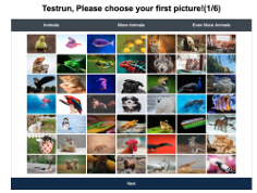 Figure 5.1: Screenshot of KidsPic147|6 authentication mechanism displaying animal pictures with three tabs: Animals, More Animals, Even More Animals, each tab have a 7X7 grid of animal pictures; 147 animal pictures in total.