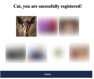 Figure 6.11: Pictures displayed in a sequence in the end screen after registration is complete using KidsPic108|7. Animal picture is unblured as child participant hovered on it. The rest of the Pictures of their password are blurred to protect their password from shoulder surfing attack.