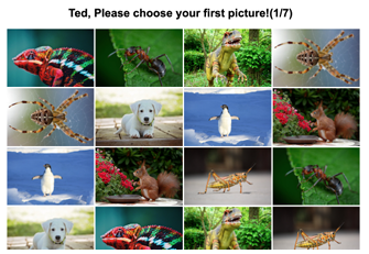  Figure 6.2: A version of KidsPic16|7 with eight better quality and eight reduced quality pictures.