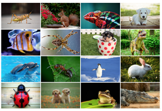  Figure 6.3: A version of KidsPic16|7 with 16 unique pictures randomly displayed in a grid with a combination of eight better quality and eight reduced quality pictures.